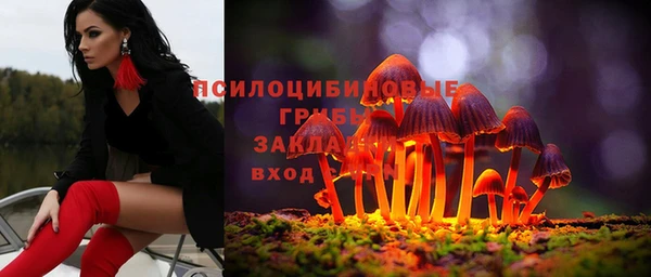 индика Абдулино