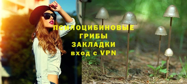 индика Абдулино