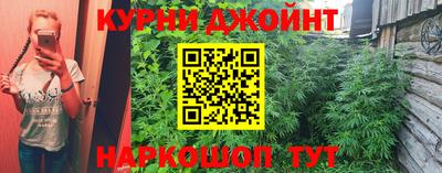 индика Можга